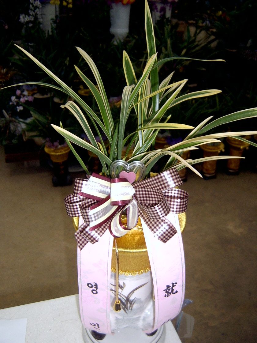 帰 ְ  ݱ.