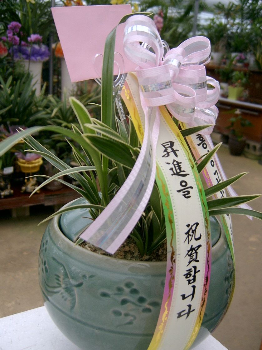 뱹 ڱ(û)