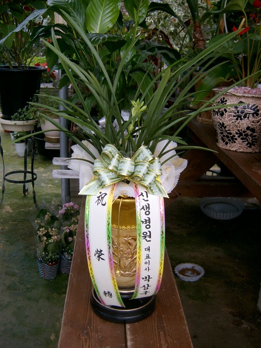 ֹֽ  Դϴ