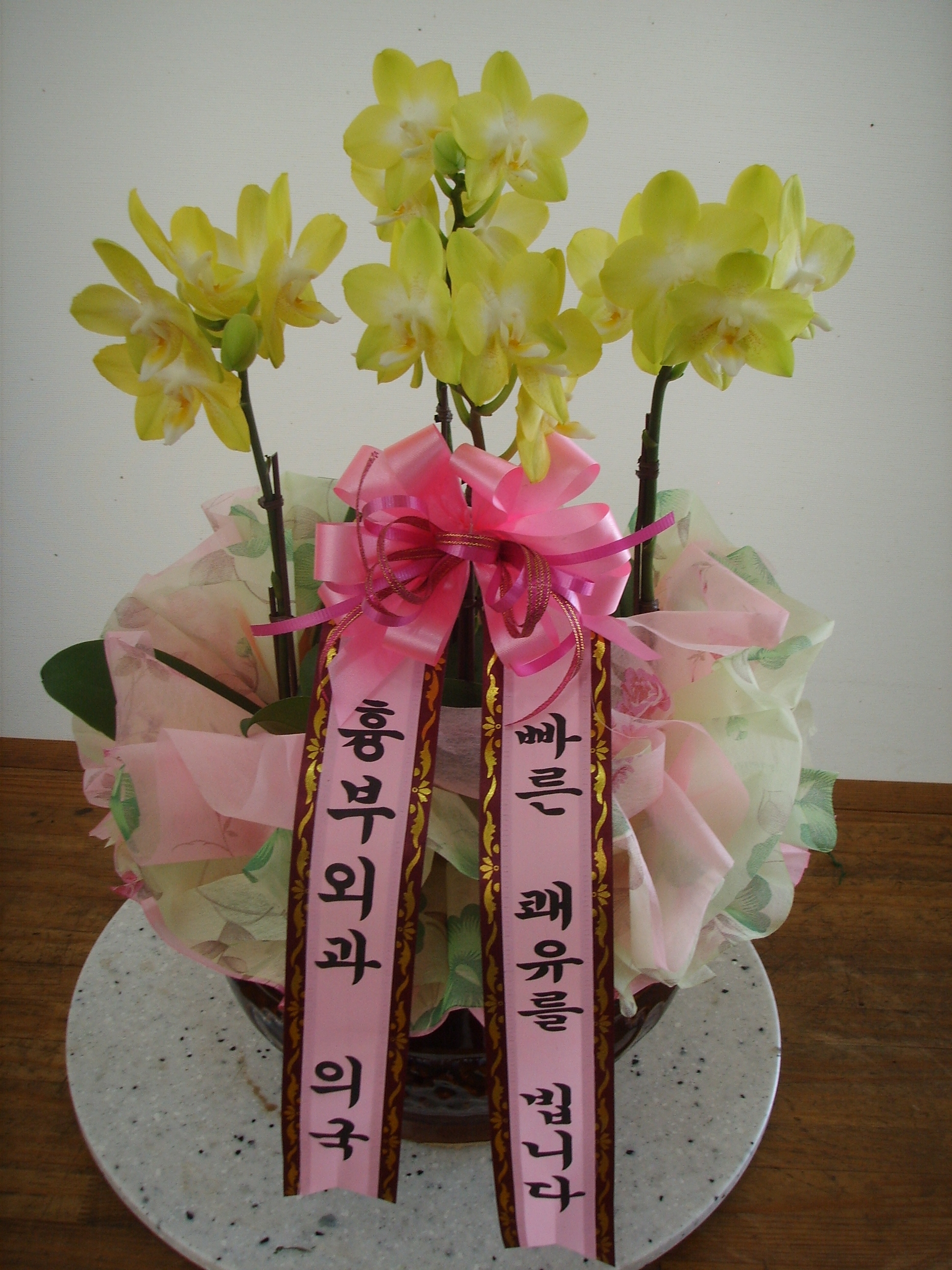 뺴