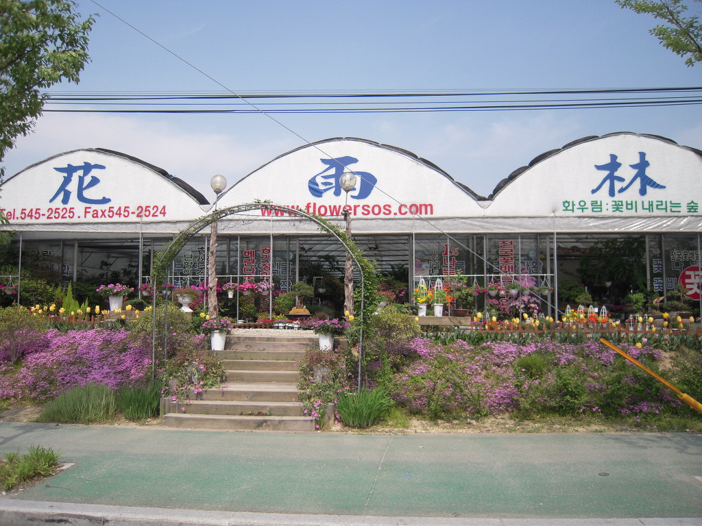 ȭ츲 ...